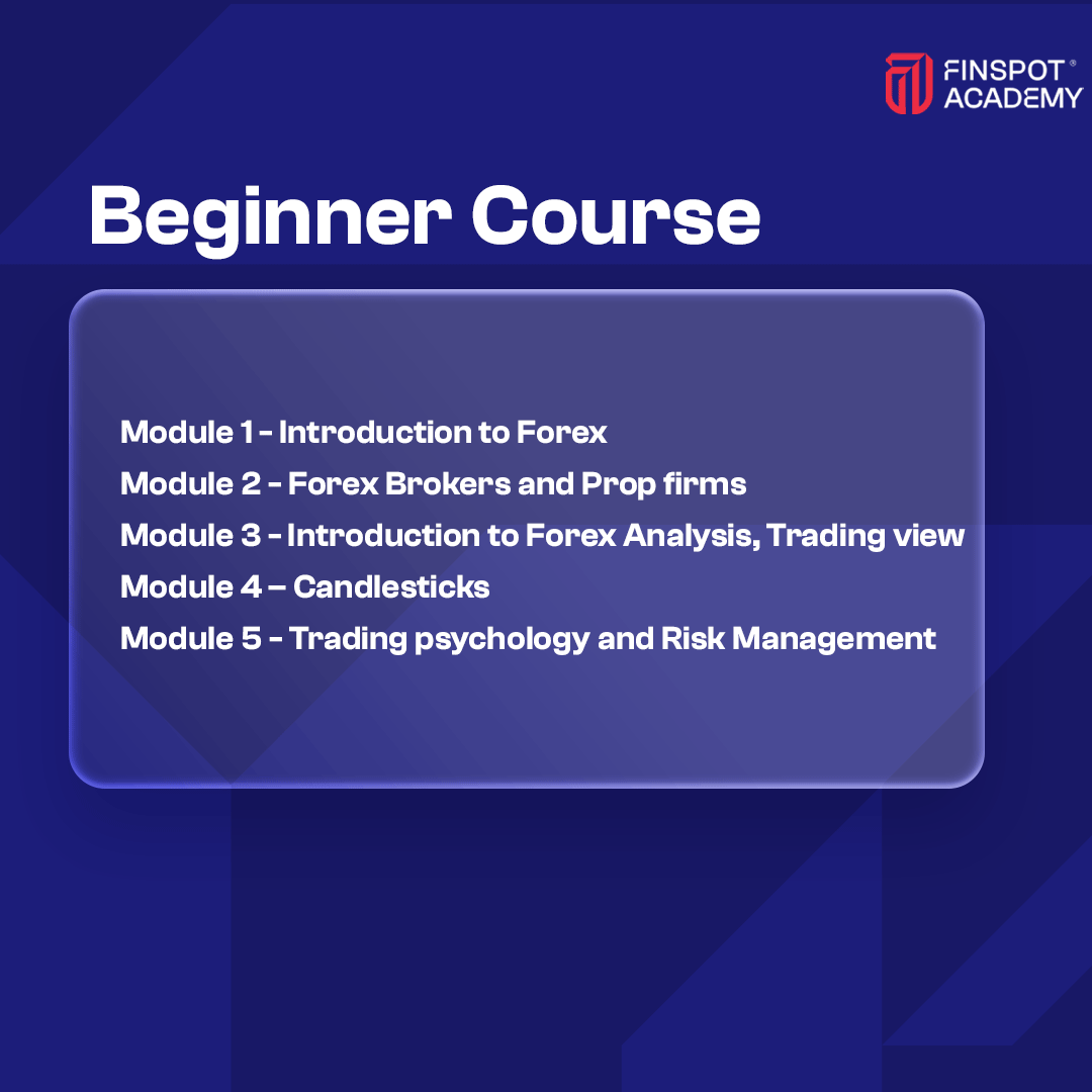 Beginner Course